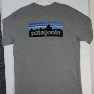 Patagonia Gray Tee with Mountain Graphic